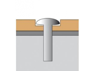 torx-schroeven-65x45mm-edelstaal